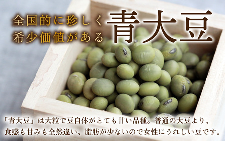 農家直送 豆好きのあなたに贈る農家直送　厳選大粒青大豆2kg  [A-001028]