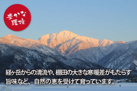 【令和7年産】名水の里 越前大野の棚田清流米コシヒカリ 2kg×2袋 減農薬 減化学肥料
