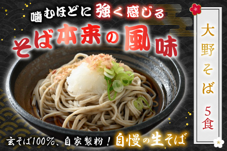 越前大野産 石臼挽き 越前そば 生そば5食 ＋ ラーメン6食（つゆ、スープ付）｜福井 名水 蕎麦  生麺