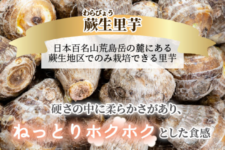 【先行予約】日本百名山 荒島岳の麓で育てた 蕨生（わらびょう）里芋 3kg【11月より順次発送】