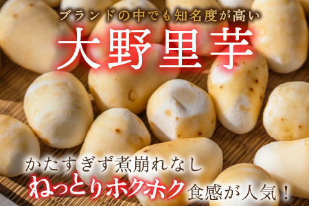 【先行予約】簡単手間なし！冷凍のまま調理！大野の里芋の洗い子 1kg × 2袋 計2kg (冷凍) 【11月より順次発送】