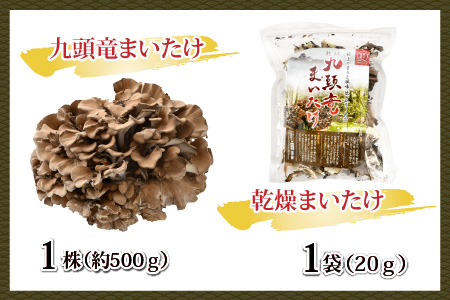 九頭竜まいたけとうま煮・ごはんの素など加工品セット(Aセット) [A-038002]