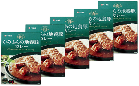 かみふらの地養豚カレー5箱セット 加工食品 惣菜 レトルト お肉 豚肉 