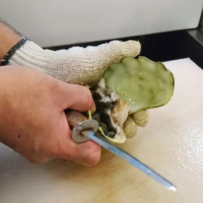 【産地直送】「海人のまち」で水揚げ！新鮮なヒメシャコ貝 約500g 海鮮 貝 シャコ貝 ヒメシャコ貝 刺身 魚介 魚貝 海産物 冷凍 お刺身 産地直送 国産 沖縄 沖縄県産 浜焼き BBQ バーベキュー アウトドア キャンプ 煮物 おつまみ 晩酌