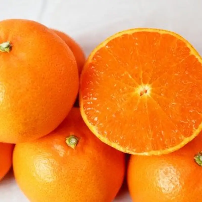 とろける食感！ジューシー柑橘　せとか　約3kg【予約】※2027年2月下旬頃〜2027年3月中旬頃発送(お届け日指定不可)【uot506A】