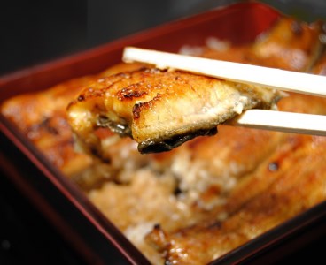 うなぎ 蒲焼 真空パック 特選 国産 ２人前 うな繁 うな重 ひつまぶし たれ付き お中元 ギフト 富士山 湧水 ウナギ 鰻 土用 丑の日 個包装 人気 美味しい 小分け 静岡県