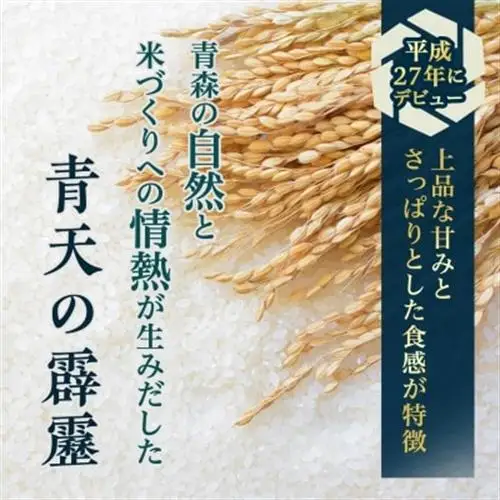 青天の霹靂 精米5kg_お米 米 白米 ご飯 コメ こめ 青森県 青森市 青森 人気 美味しい ふるさと_【1073772】
