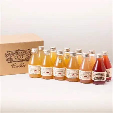 カルネ りんごジュース 12本セット_飲料・ドリンク りんごジュース 果汁飲料 林檎ジュース アップルジュース リンゴジュース_【1076429】