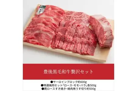 豊後黒毛和牛贅沢セット約2.6kg A01049