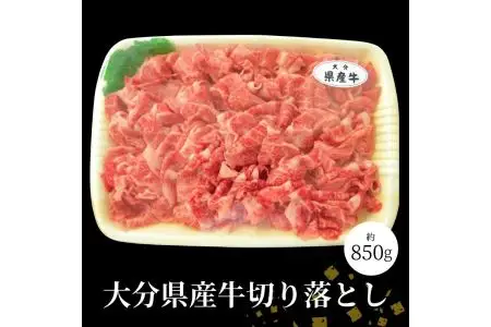 大分県産牛切り落とし 約850g A01057