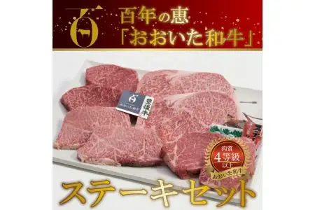 百年の恵 「おおいた和牛」 ステーキセット約800g A01066