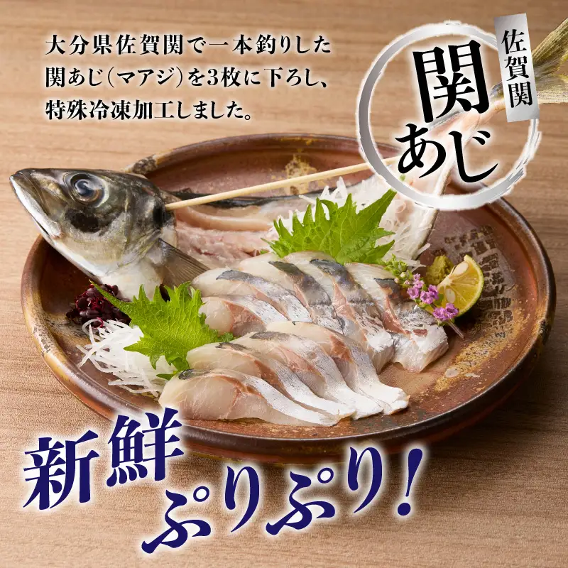 関冷刺　関あじ（大） E04018