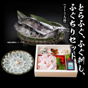 ふく亭　本店　とらふぐ　ふぐ刺し　ふぐちりセット（2～3人前） E05007