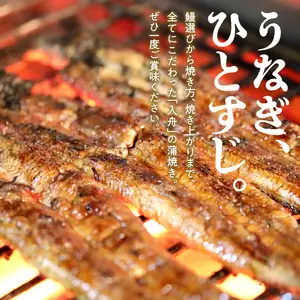 入舟 うなぎ 蒲焼き E07004
