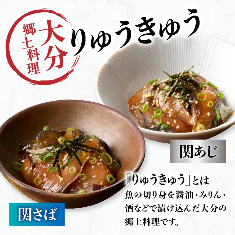 関あじ・関さばりゅうきゅうパック E19002
