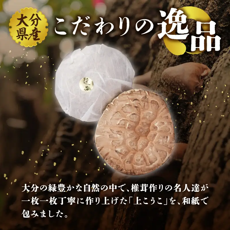 大分県産椎茸　香菇　逸品　IP-A F07016