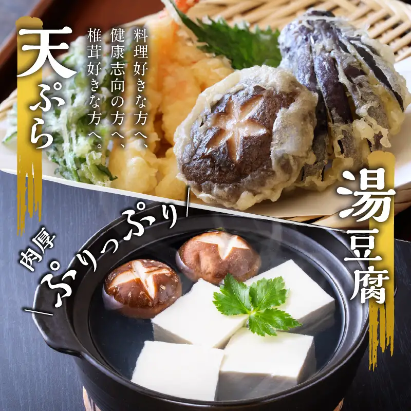 大分産乾しいたけと豊後きのこカレーと豊後きのこめし F07027