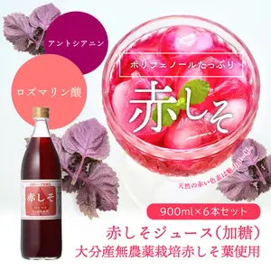 赤しそジュース　加糖タイプ　900ｍｌ×6本 F10014