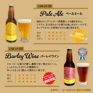 モンキーマウンテン　クラフトビール　6種飲み比べセット H01002