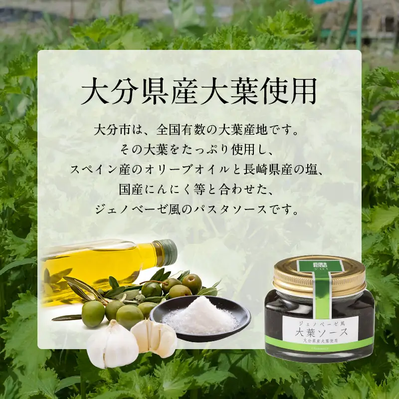 ジェノベーゼ風大葉ソース 12個セット K01011