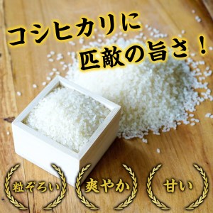 Y183 【令和8年産 新米】きぬむすめ15kg