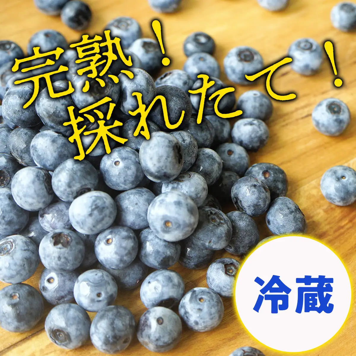 Y112 完熟有機ブルーベリー1kg【有機JAS認定】