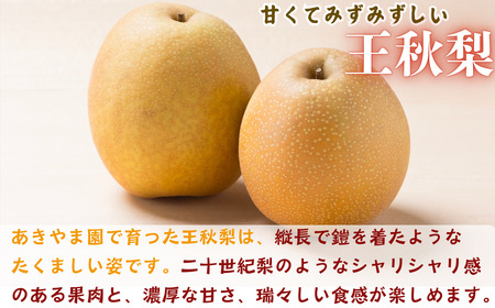 Y032 王秋梨(特秀) 3kg【2026年秋以降発送分】