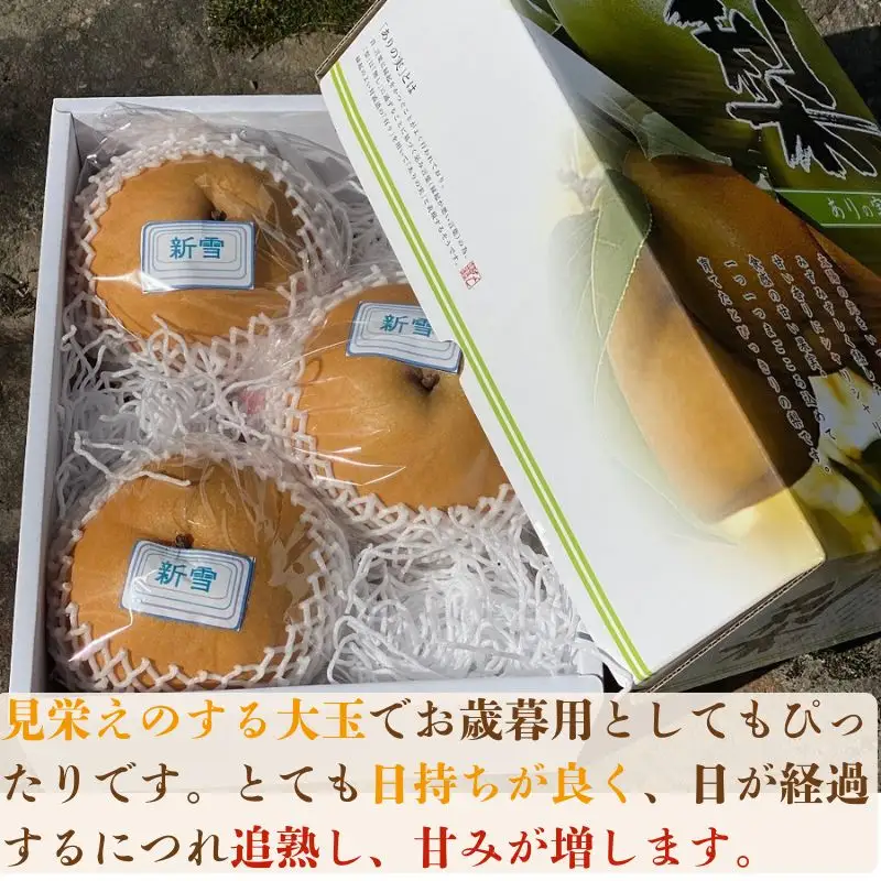 Y045 【冬に食べられる梨】新雪梨(特秀) 3kg