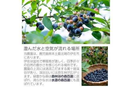 isa223 手作りブルーベリージャム(計3個・各250g) 詰合せ ギフト ジャム 手づくり 自家栽培 ブルーベリー 甘さ控えめ【伊佐ブルーベリーつみとり観光農園】