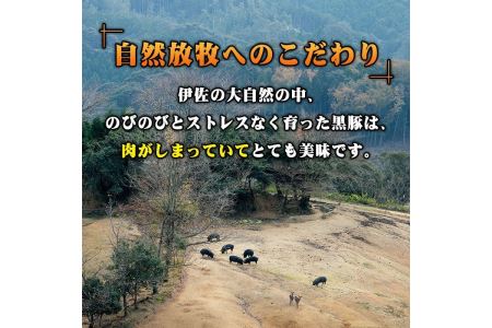 A7-07 沖田黒豚骨付きフランクソーセージ(計1.5kg・500g×3パック) 伊佐市 特産品 九州 鹿児島 粗挽き 豚肉 食べ応え 旨味 ウインナー バーベキュー BBQ キャンプ アウトドア 冷凍 冷凍便【沖田黒豚牧場】