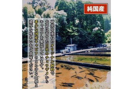 B7-02 純国産フレッシュキャビア(30g・ベステル)＆チョウザメ生スモーク(200g)セット伊佐市 特産品 国産 魚卵 白身 おつまみ 世界三大珍味 グルメ 贅沢 生ハム風 冷燻 加工品 冷凍 冷凍便【小田原養魚】