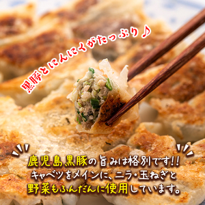 黒豚にんにく餃子 40個 餃子 Z6-01