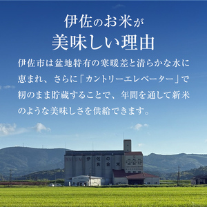 A6-02 いさひかり無洗米(5kg×2袋・計10kg) 伊佐市 特産品 お米 米 白米 精米 伊佐米 ご飯 ヒノヒカリ 無洗米【JA北さつま】