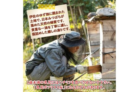 C0-05 ＜数量限定＞伊佐の垂らし蜜(600g・200g×3個) 伊佐市 特産品 国産 はちみつ 百花蜜 野生種 日本ミツバチ 蜂蜜 ハチミツ ハニー【ゆず香房】