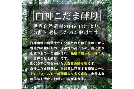 isa170 プレーンベーグル(16個) 天然酵母 ふるさと納税 伊佐市 特産品 パン 国産 白神こだま酵母 ヒマラヤ岩塩 焼きたて 急速冷凍 ベーグル 牛乳・卵・バター不使用 ベーグルサンド 就労支援 【工房あけぼの】