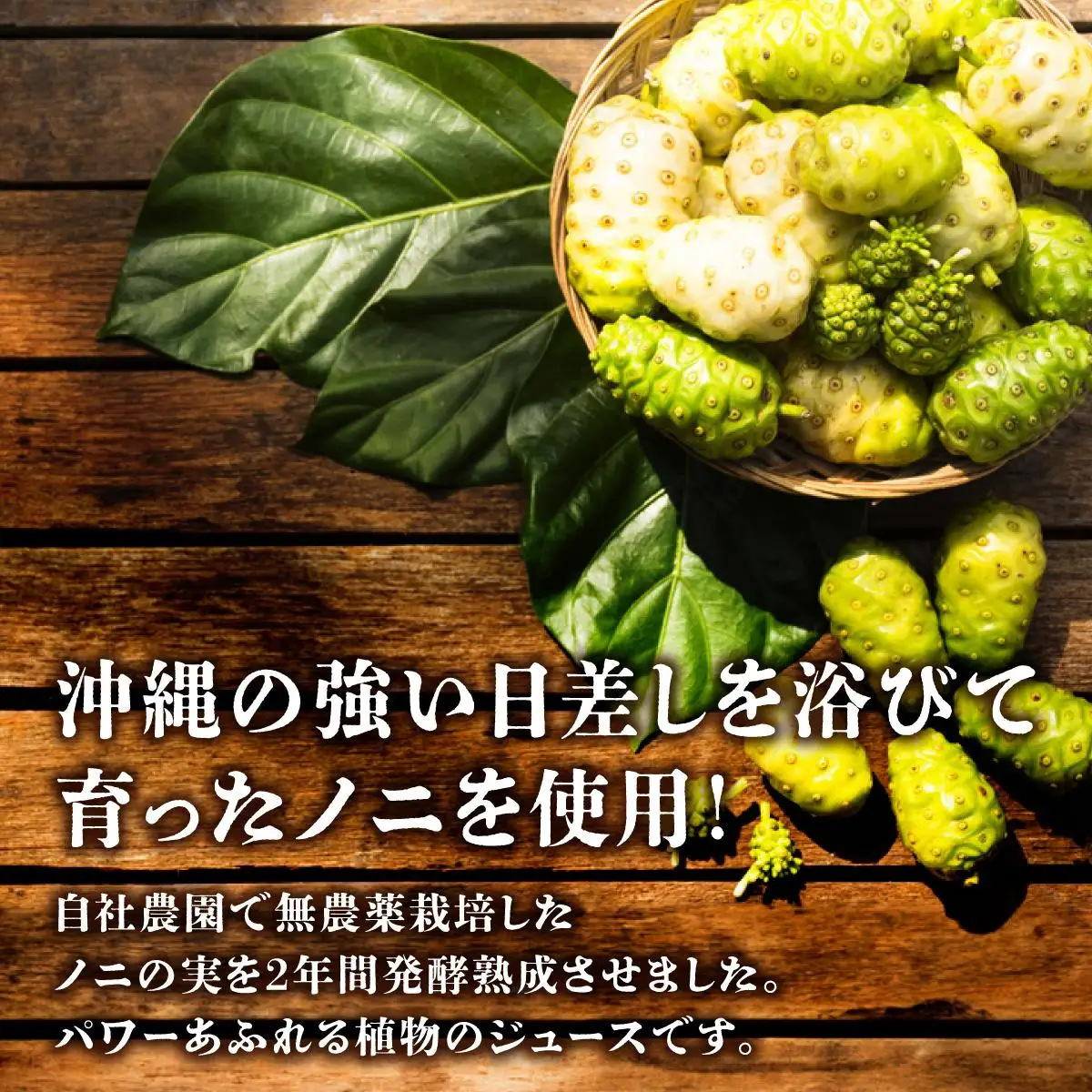 二年熟成ノニジュース6本セット | 沖縄県南城市 | ふるさと納税サイト