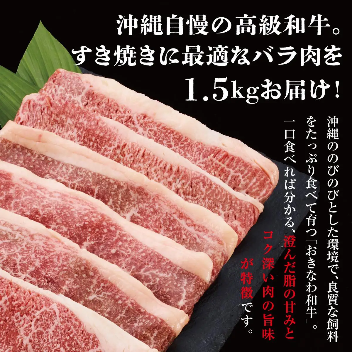 《沖縄和牛》すき焼き用 バラ肉1.5kgセット |黒毛和牛 牛肉 すき焼き 牛バラ肉 贈答用  送料無料   