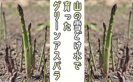 アスパラ 北海道 約1.5kg！朝採り 露地限定グリーンアスパラ（M・Sサイズ混合）［ほりぐち農園］※2026年5月中旬出荷開始先行予約  野菜 アスパラガス 旬 とれたて お取り寄せ 産地直送 