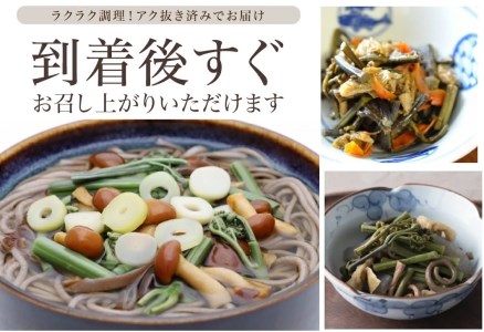 SA2891　庄内産 天然わらび (アク抜き済み)　約1.2kg(200g×6束)