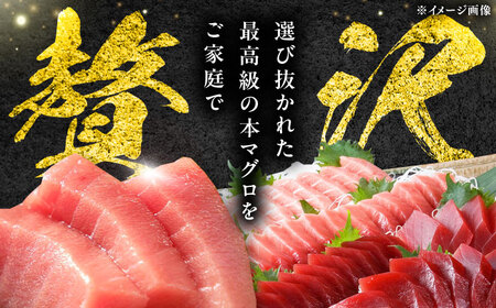 【1週間以内発送】対馬産 本マグロ 4種 計550g（赤身/中トロ/大トロ/ネギトロ）[WAH003] 本まぐろ  スピード発送 最速発送 最短発送