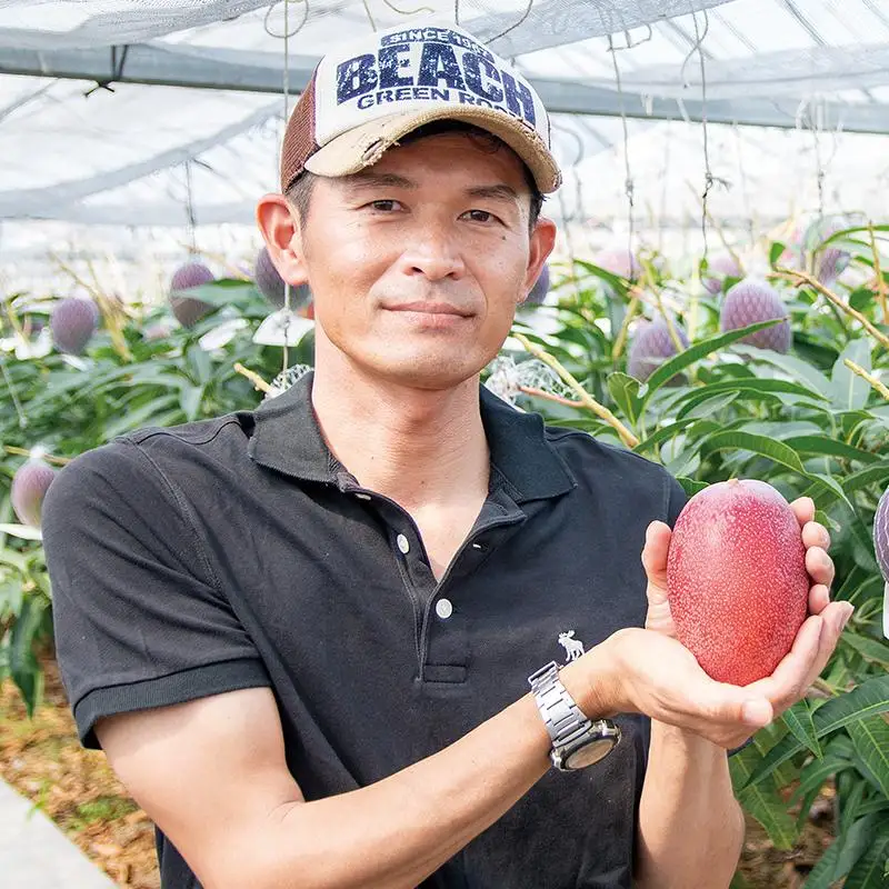 【先行予約】ひだか農園「訳あり」完熟マンゴー 900ｇ以上 宮崎県西都産 数量限定 2026年発送＜36-1a＞