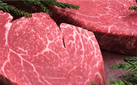 飛騨牛 5等級 ヒレ肉 ヒレステーキ 厚さ3cm 2枚で400g 希少 BBQにも 古里精肉店[Q551]