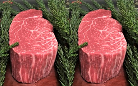 飛騨牛 5等級 ヒレ肉(テート) ヒレステーキ 厚さ3cm以上 2枚で600g 希少 BBQにも 古里精肉店[Q552]