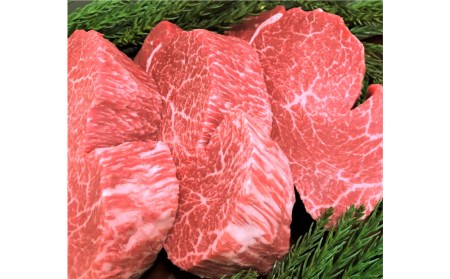 飛騨牛 5等級 ヒレ肉 ヒレステーキ 厚さ3cm以上 3枚で600g 希少 BBQにも 古里精肉店[Q553]