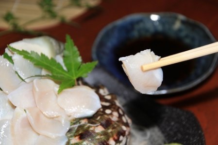 夜光貝200g【真空冷凍】
