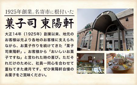 草分け 10個 セット《30日以内に出荷予定(土日祝除く)》 菓子司 東陽軒 北海道 名寄市 和菓子 もなか 最中 モナカ 菓子