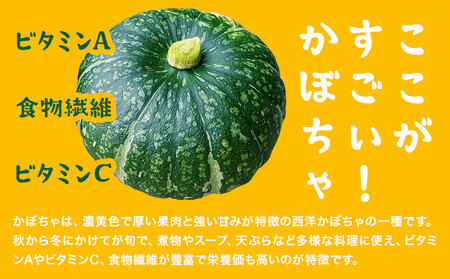 千虎 かぼちゃパイ 詰合せ 21個入り かぼちゃ《60日以内に出荷予定(土日祝除く)》北海道 名寄市 お菓子 ギフト プレゼント 贈り物 お中元 お祝い スイーツ パイ