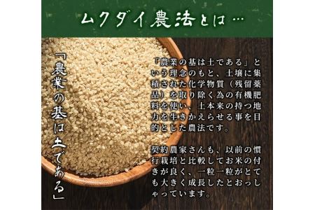 ＜白米＞10kg(白米5kg×2袋セット)日本棚田百選に選定されている「鹿児島県湧水町幸田棚田鉄山地区」のお米【福永商店】_y056-R7B
