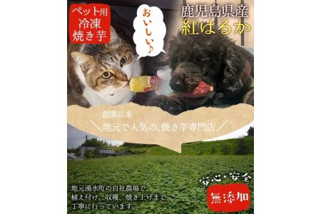  湧水町産さつまいも！紅はるかを使用したペット用冷凍やきいも(500g×3袋・計1.5kg) 国産 九州産 鹿児島県産 サツマイモ さつま芋 紅春香 芋 焼き芋 やきいも 野菜 スイーツ 冷凍 ペット用 えさ エサ【永野工務店】_y136