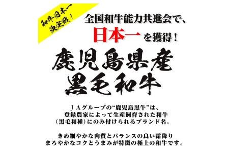 E301 5等級鹿児島黒牛サーロインステーキ（2枚）・すきやきセット 国産 九州産 鹿児島県産 牛肉 黒牛 黒毛和牛 和牛 ステーキ サーロイン リブロース スライス しゃぶしゃぶ すき焼き【湧水町JAあいら】_A12